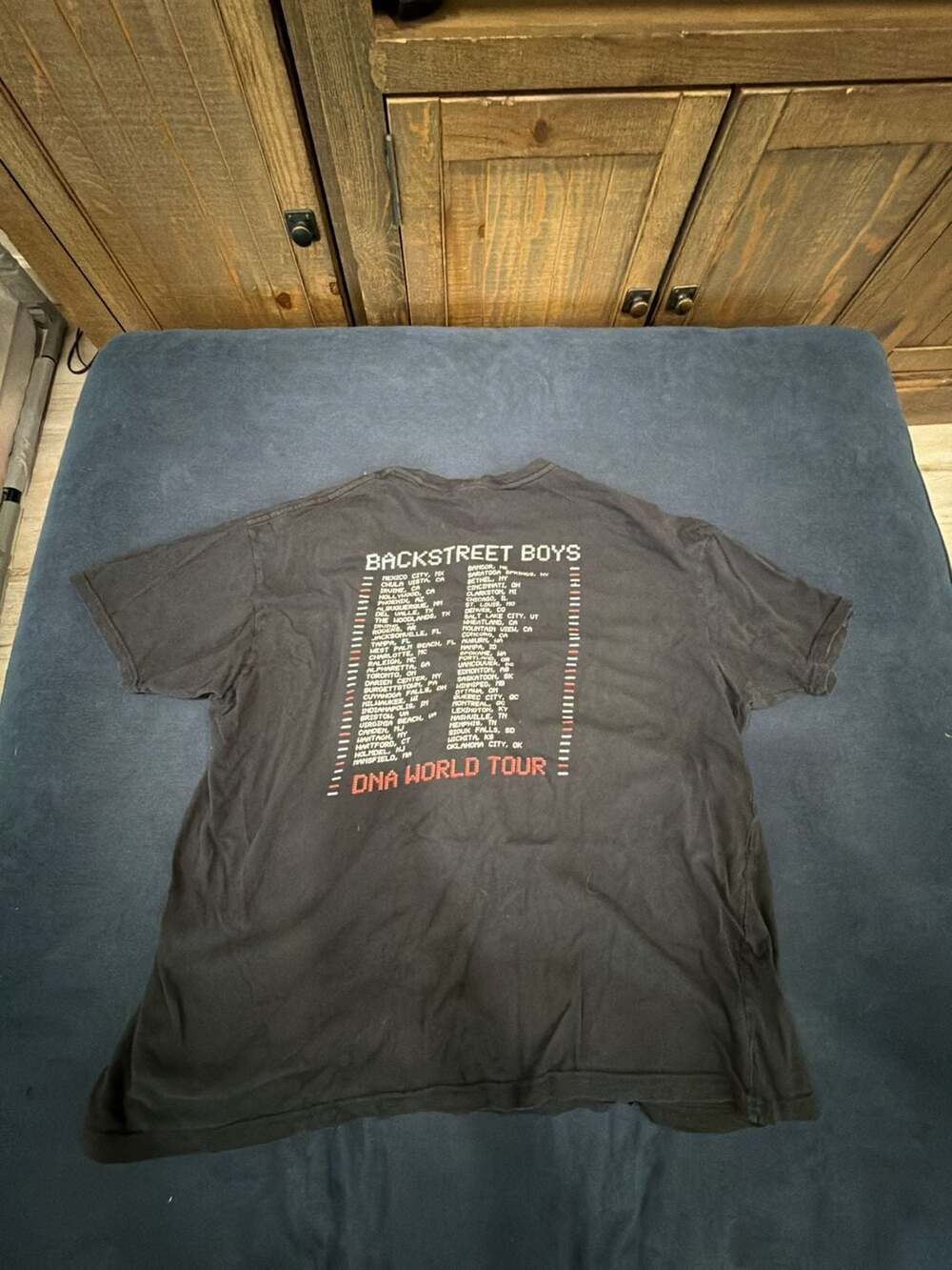 Backstreet Boys BSB DNA World Tour Concert T-Shirt
